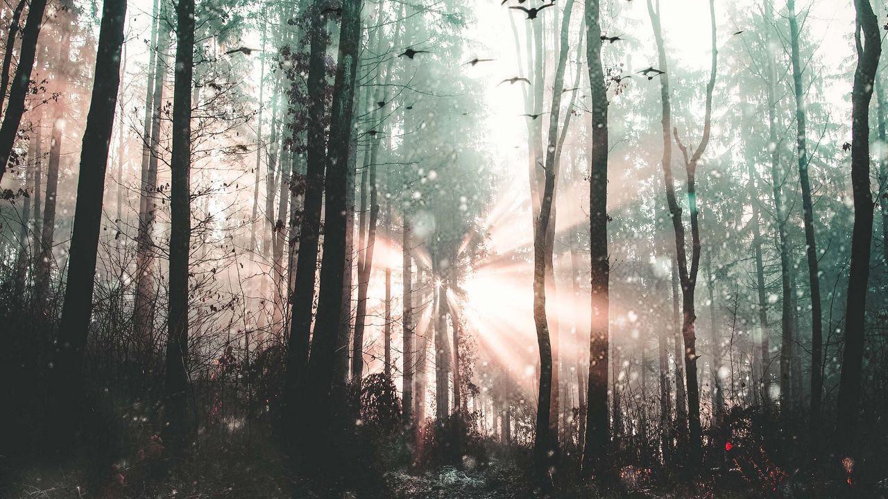 Mystical HD Wallpapers - Top Free Mystical HD Backgrounds - WallpaperAccess