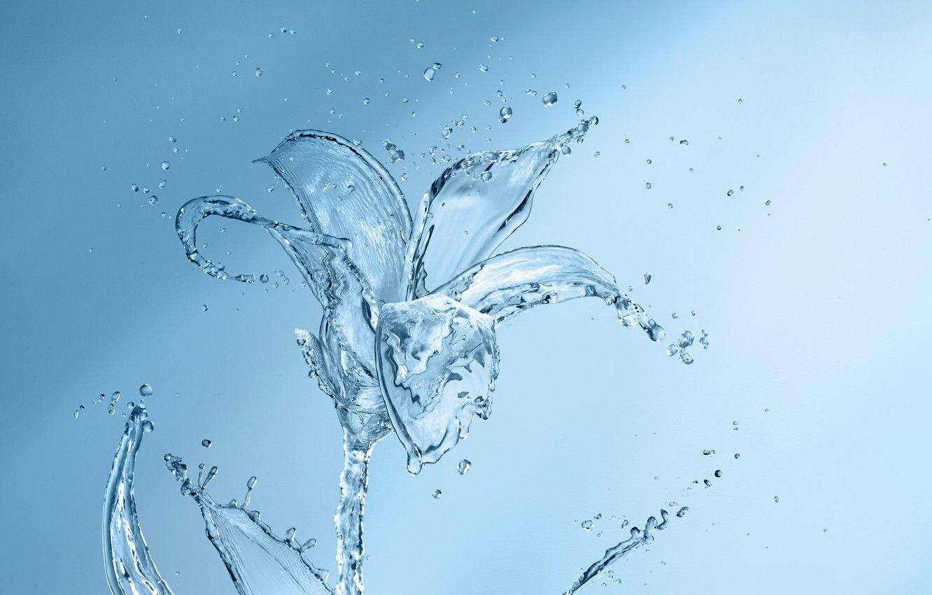 1332x850 Wallpaper flower, water, squirt, creative, Lily, petals image