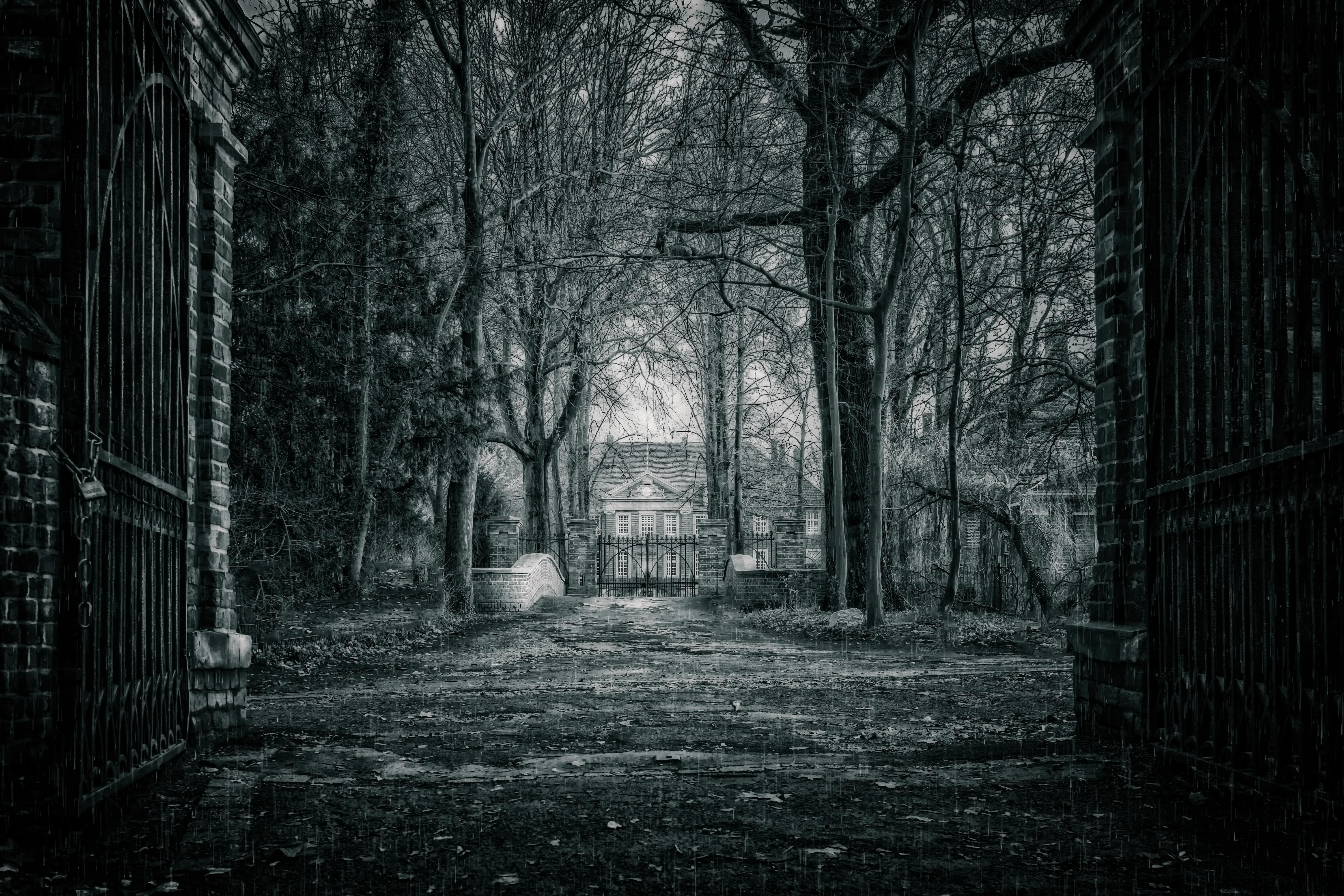 6000x4000 wallpaper house, bw, rain, branches, fence, gate, mysterious