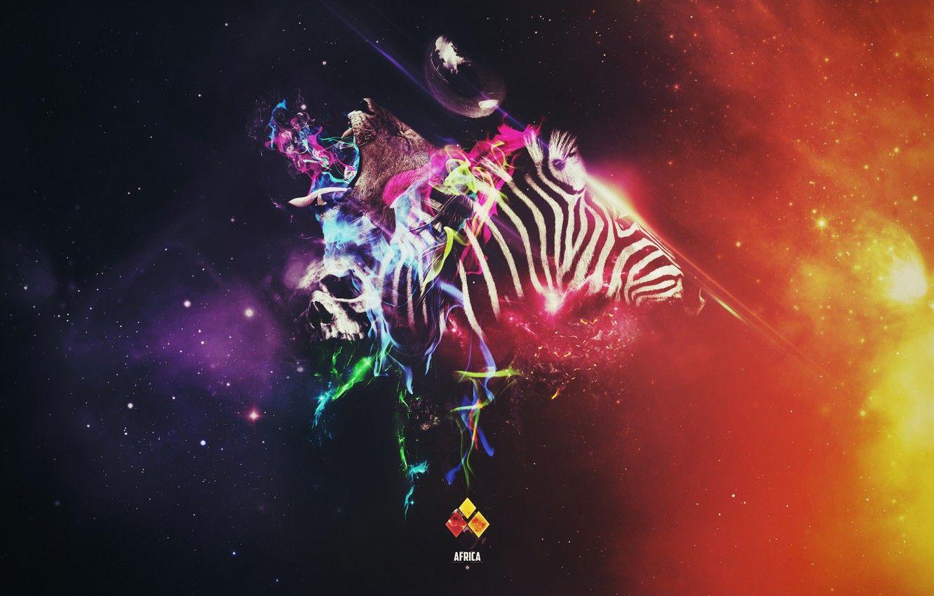 1332x850 Wallpaper abstract, animals, africa image for desktop, section