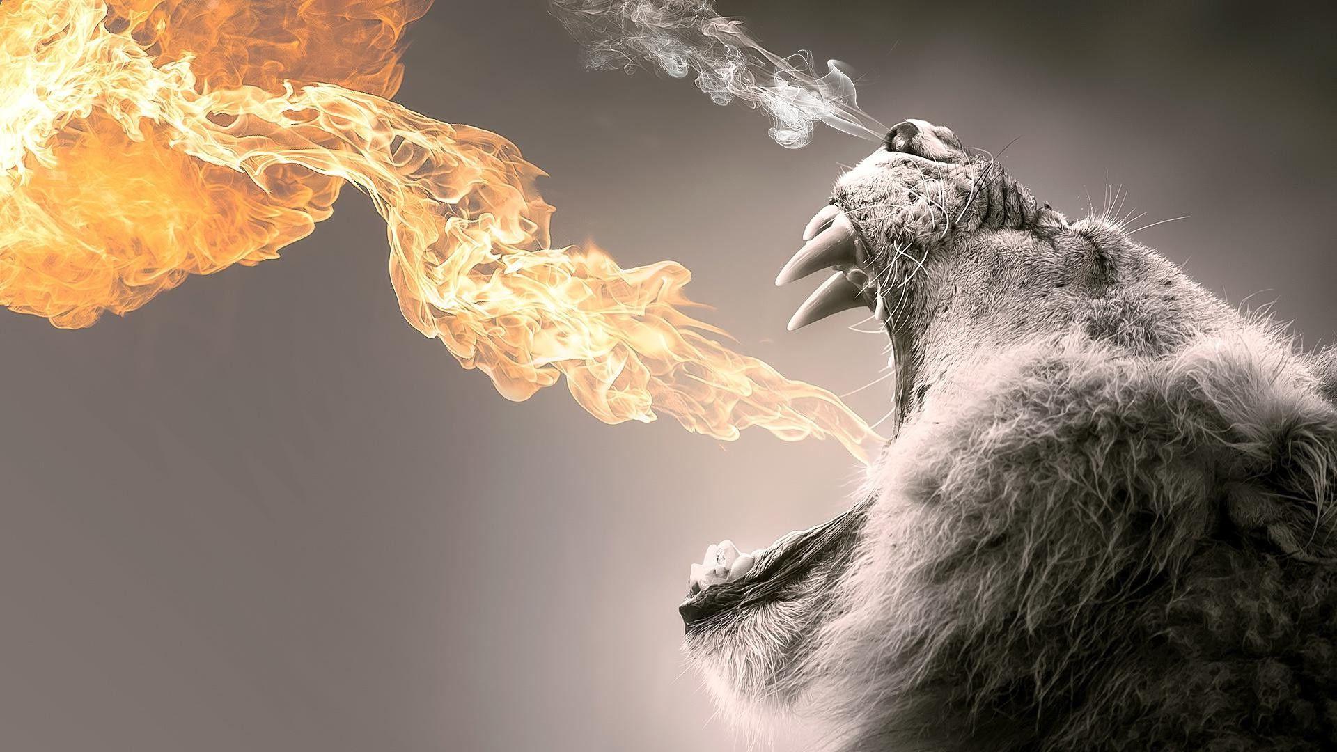 1920x1080 abstract, Animals, Fire Wallpaper HD / Desktop and Mobile Background