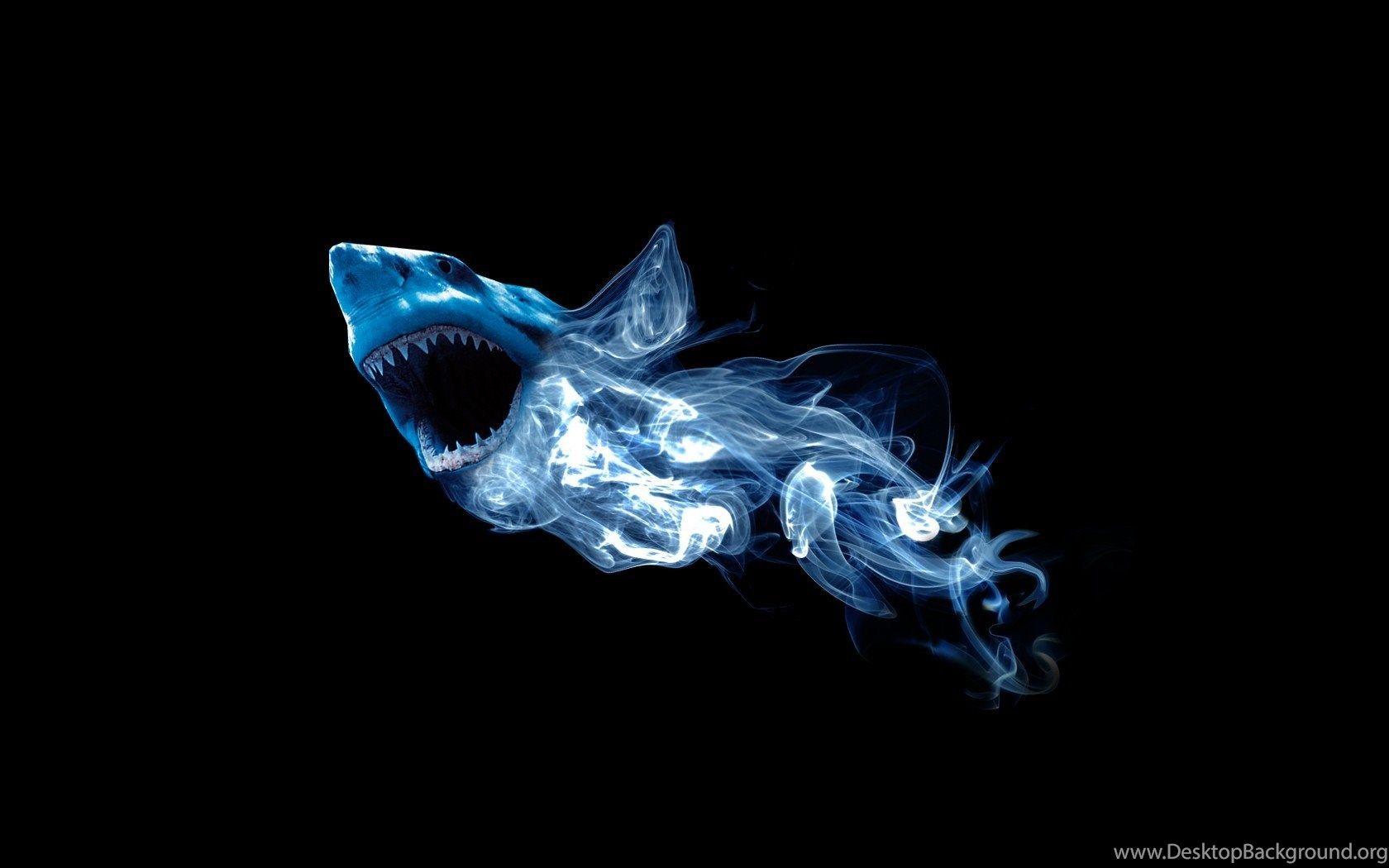 1680x1050 Sharks: Shark Animal Abstract Blue Desktop Wallpaper For HD 16:9
