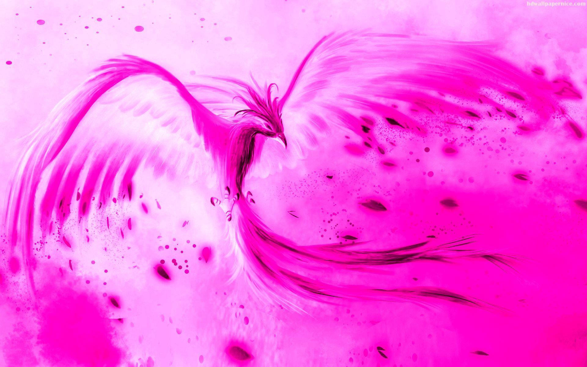 Pink Phoenix Wallpapers Top Free Pink Phoenix Backgrounds