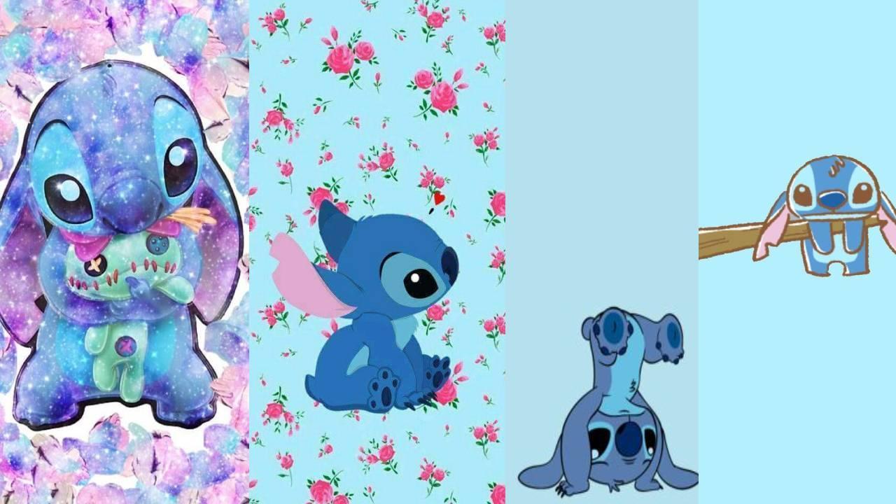 Blue Koala Wallpapers