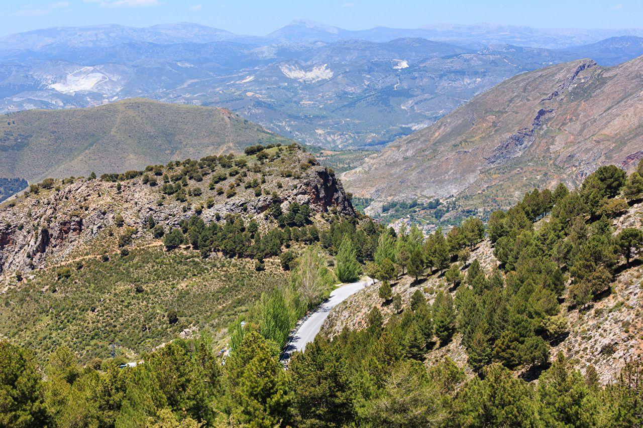 1280x853 Desktop Wallpaper Spain Sierra Nevada National Park Nature Spruce