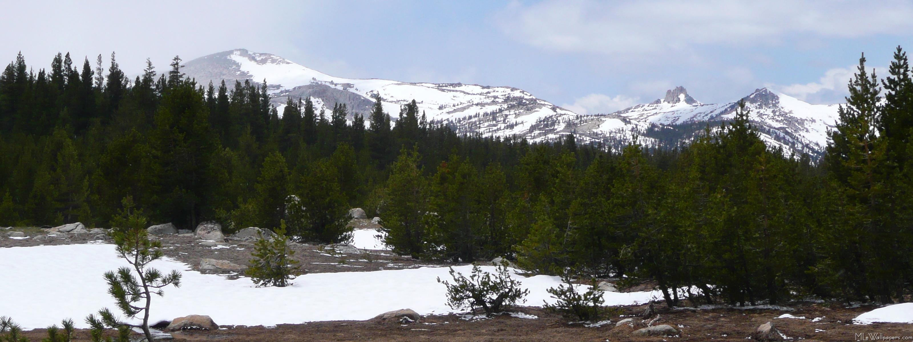 3200x1200 Sierra Nevada Mountains And Snow Wallpaper