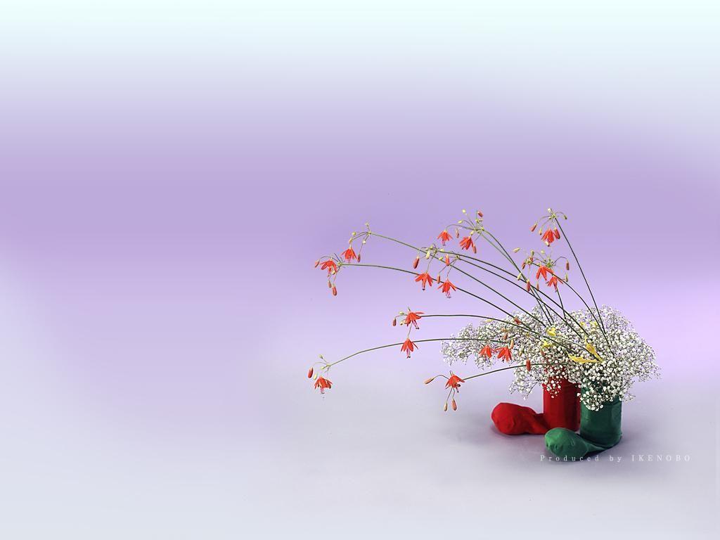 1024x768 Free download Ikebana Wallpaper galleryhipcom The Hippest