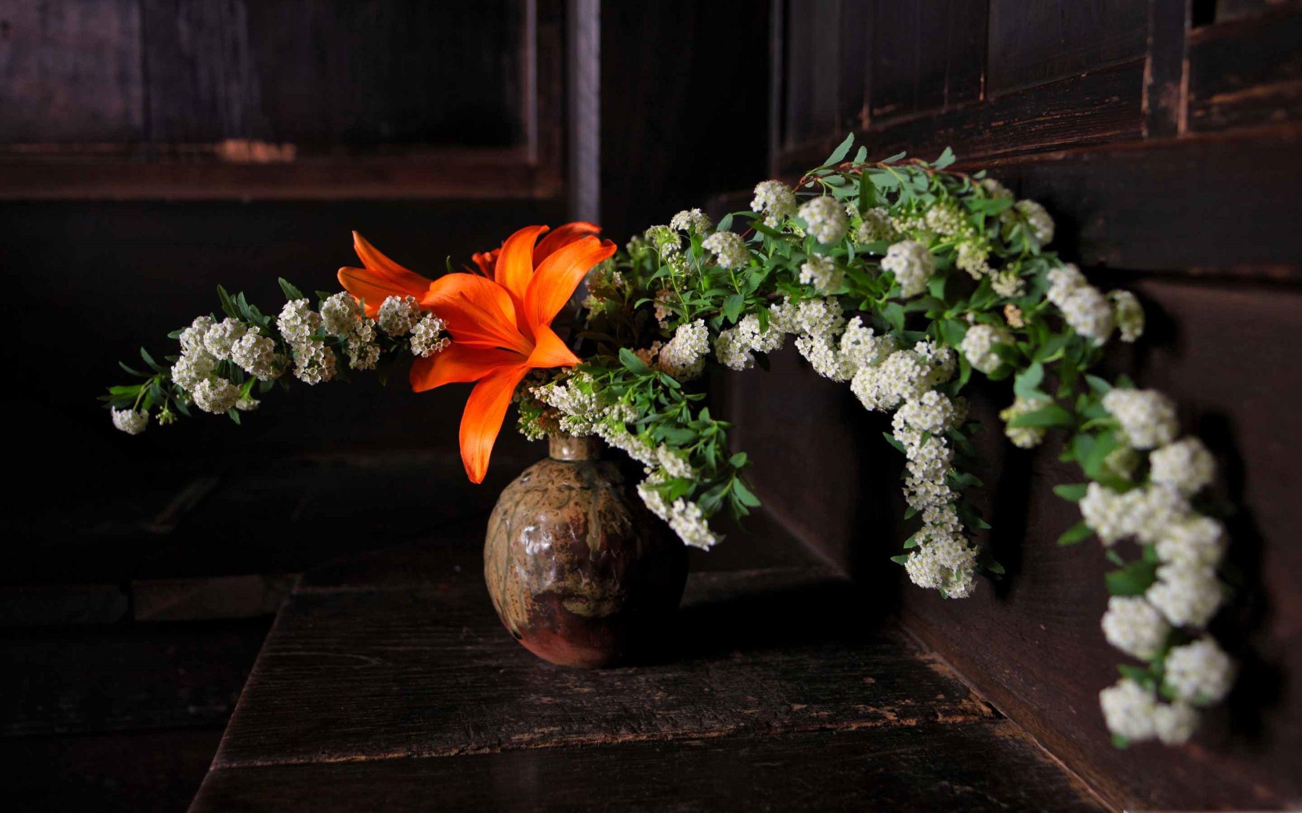 2560x1600 The Ikebana Mac Wallpaper Download