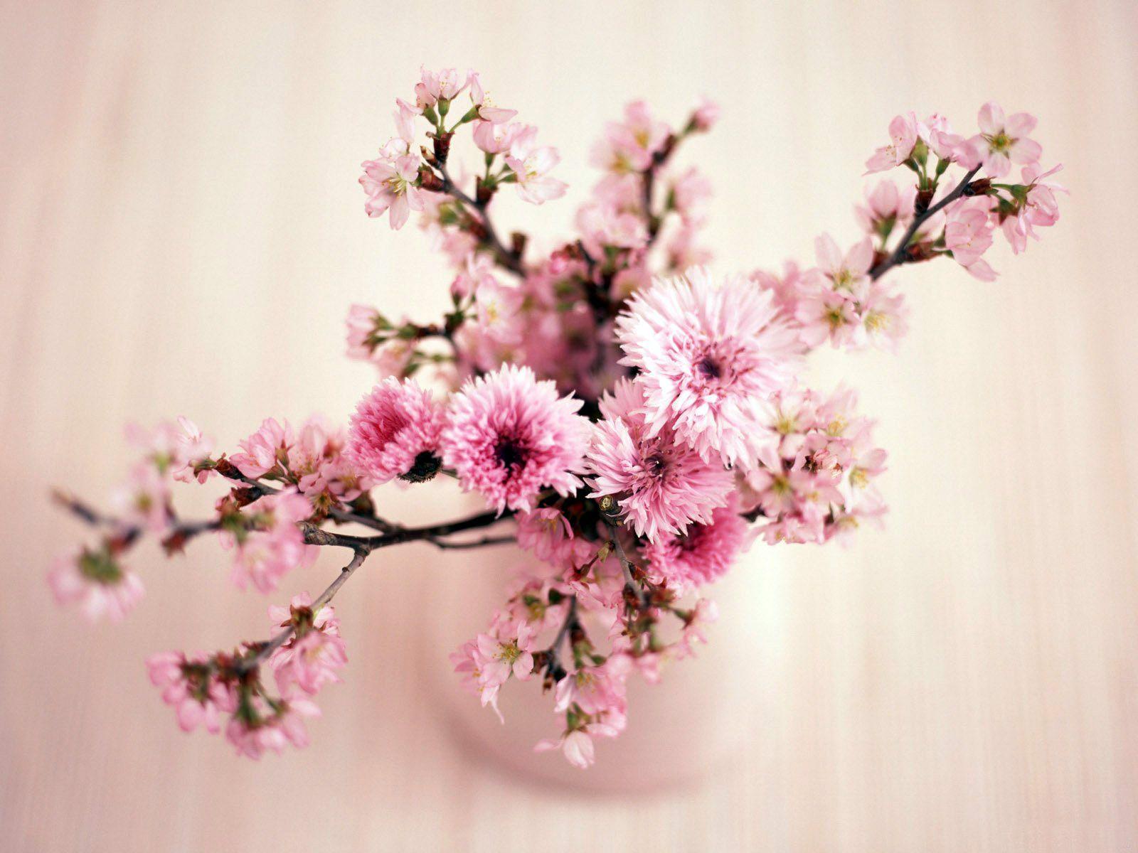 1600x1200 image flower Ikebana