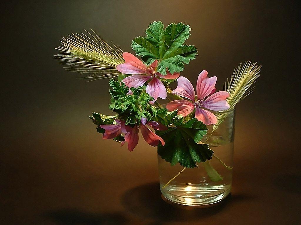 1024x768 Free download Ikebana Wallpaper galleryhipcom The Hippest