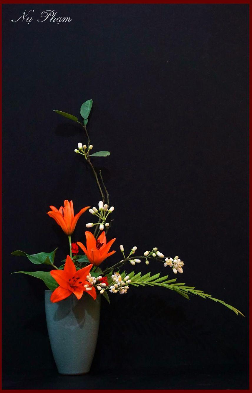 856x1334 By Nụ Phạm. Floral art arrangements, Ikebana arrangements