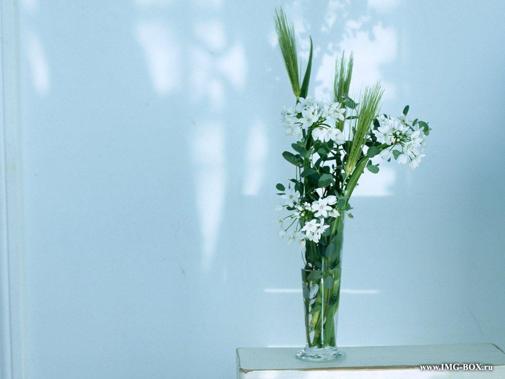 1024x768 Free download Ikebana Wallpaper [1024x768] for your Desktop