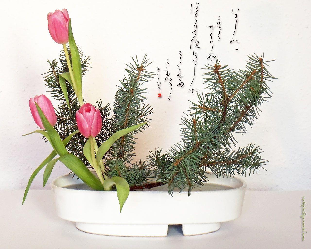 1280x1024 Free download Ikebana Wallpaper [1280x1024] for your Desktop