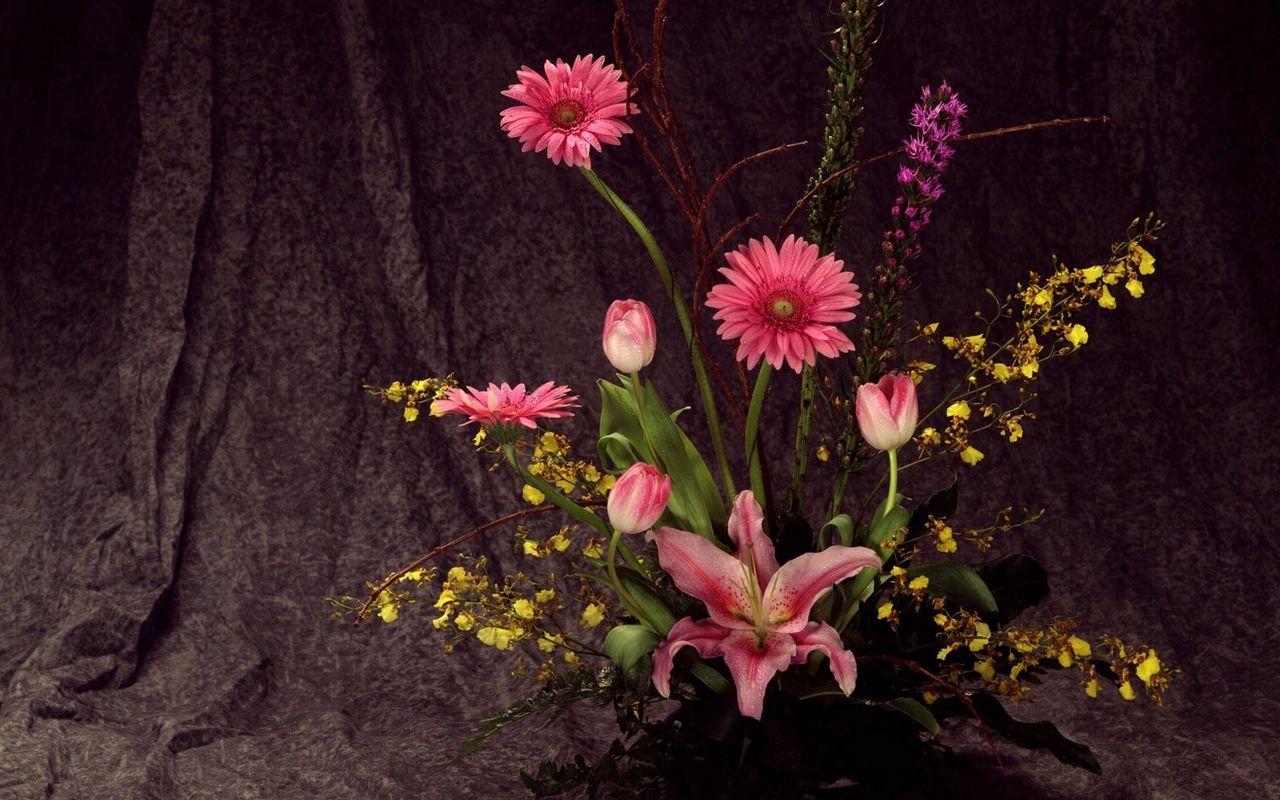 1280x800 Download wallpaper 1280x800 gerberas, tulips, flowers, song, lily