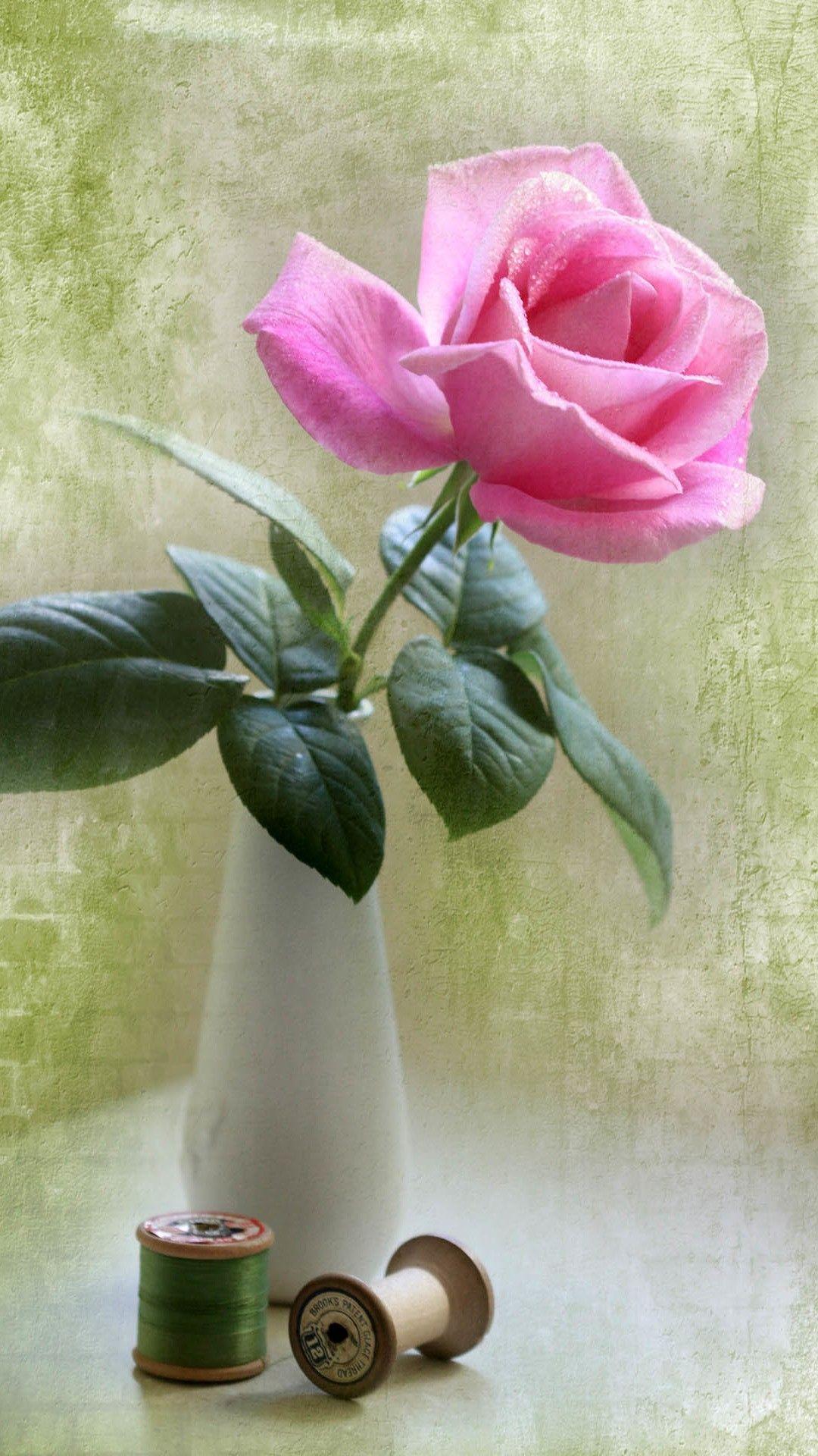 1080x1920 Elegant Pink Rose Vase Ikebana Art iPhone 8 Wallpaper Free Download
