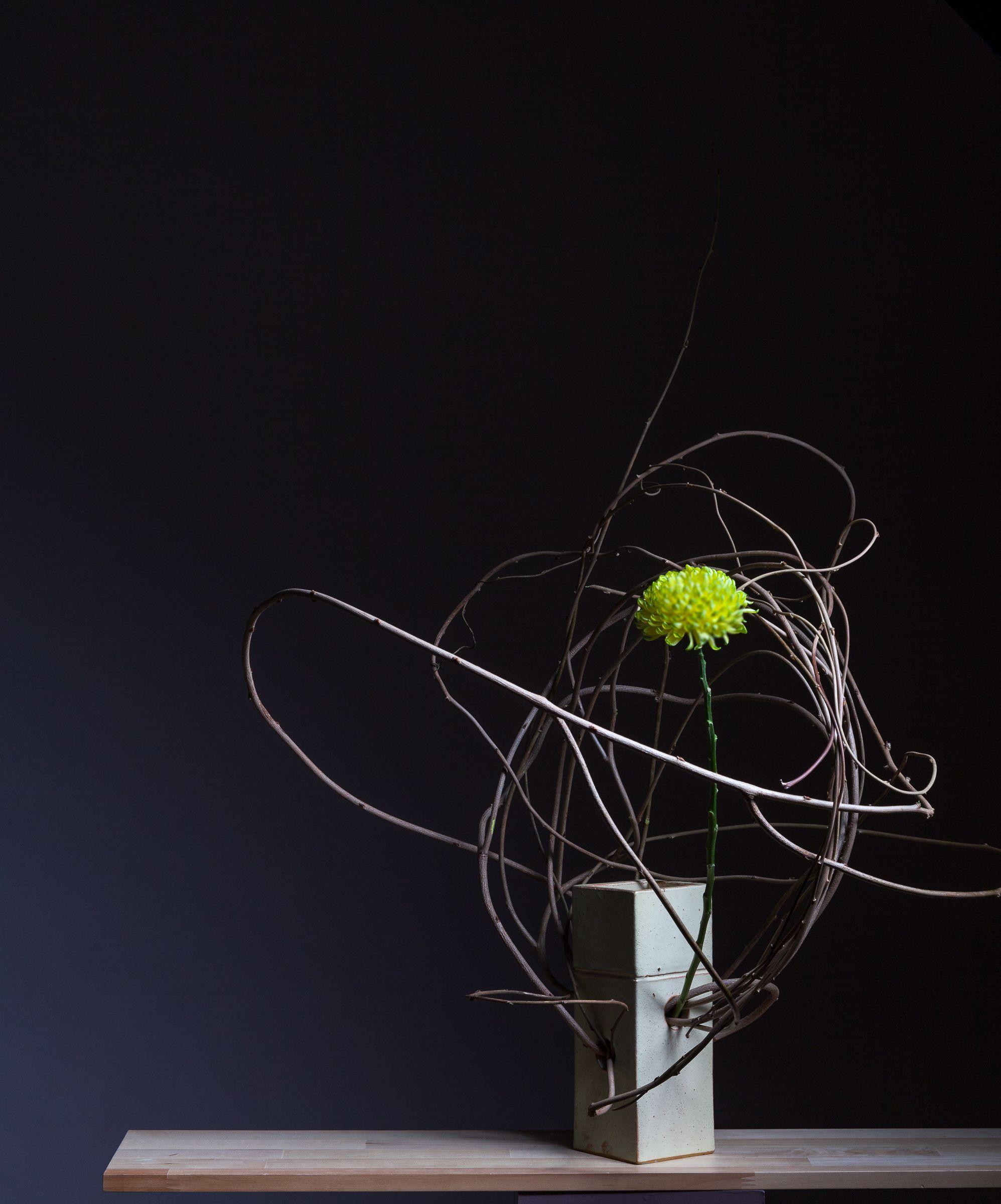 Ikebana Wallpapers Top Free Ikebana Backgrounds WallpaperAccess