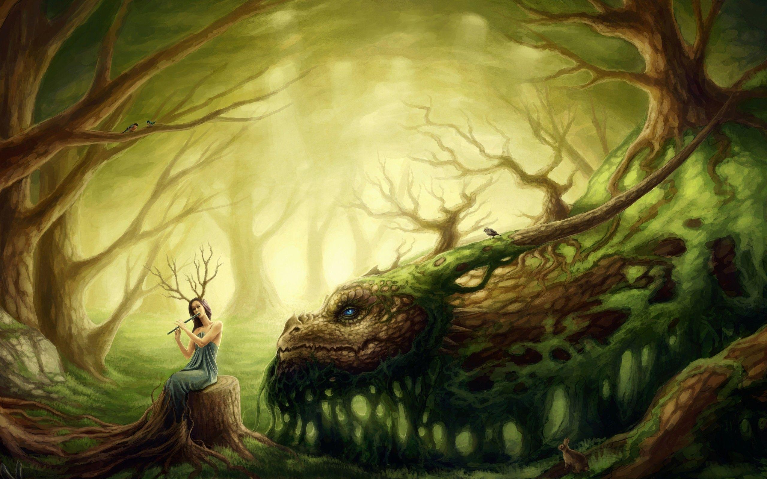 2560x1600 Dragon Fantasy Wallpaper