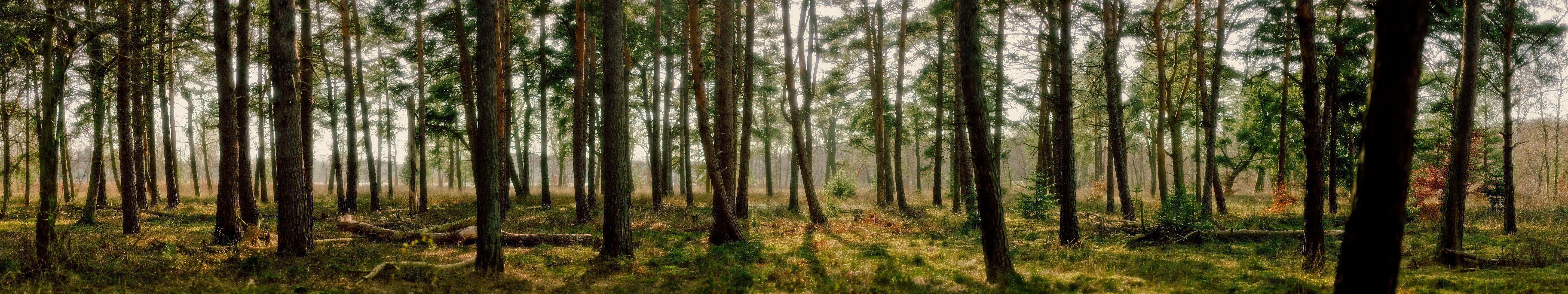 5760x1080 Triple Monitor Wallpaper 5760x1080