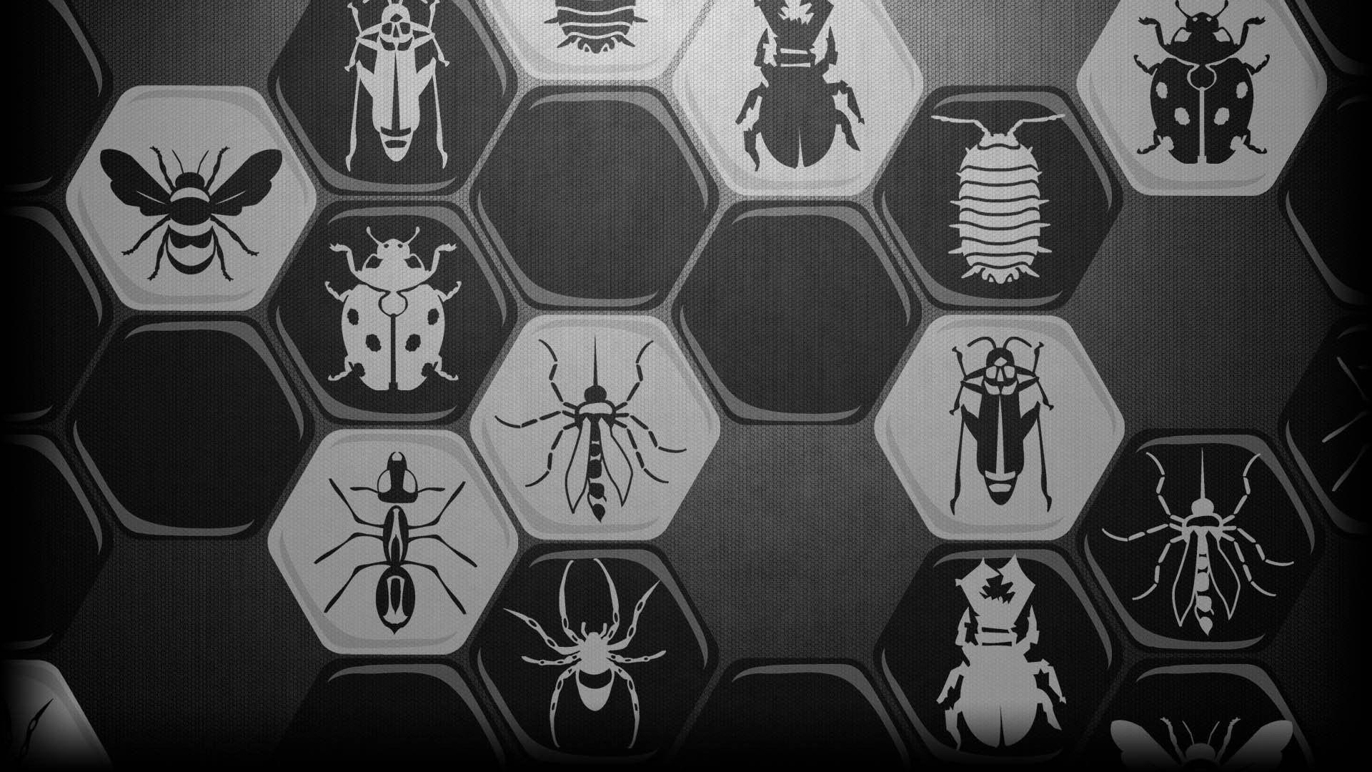 Hive Wallpapers - Top Free Hive Backgrounds - WallpaperAccess