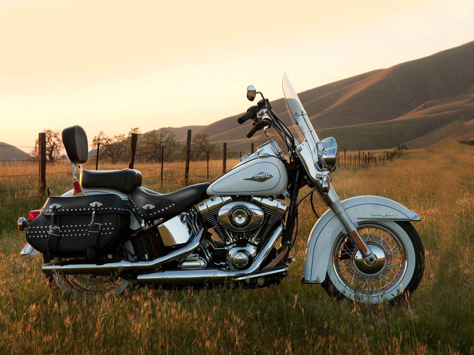 1600x1200 White Classic Harley Davidson Motorcycle Wallp Wallpaper. Motorcycle harley, Harley davidson motorcycles, Harley softail