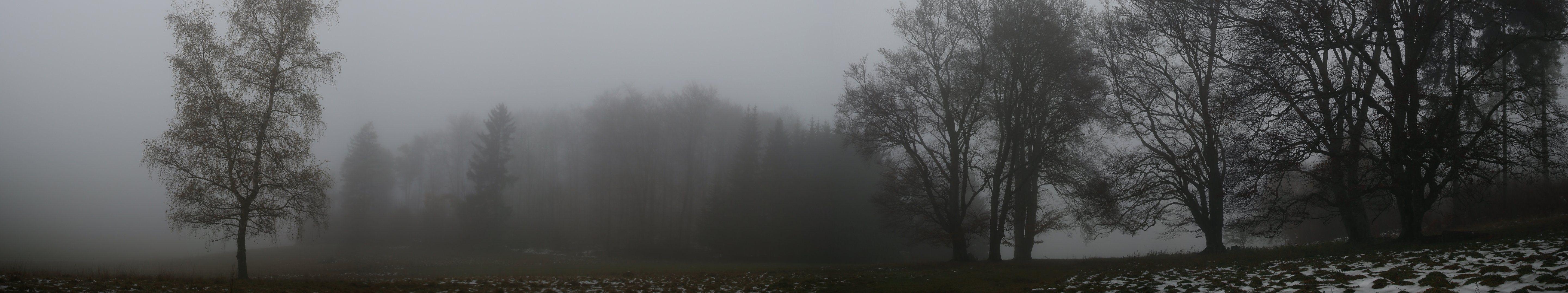 5760x1080 triple, Monitor, Multi, Screen, Multiple, Brume, Mist, Trees