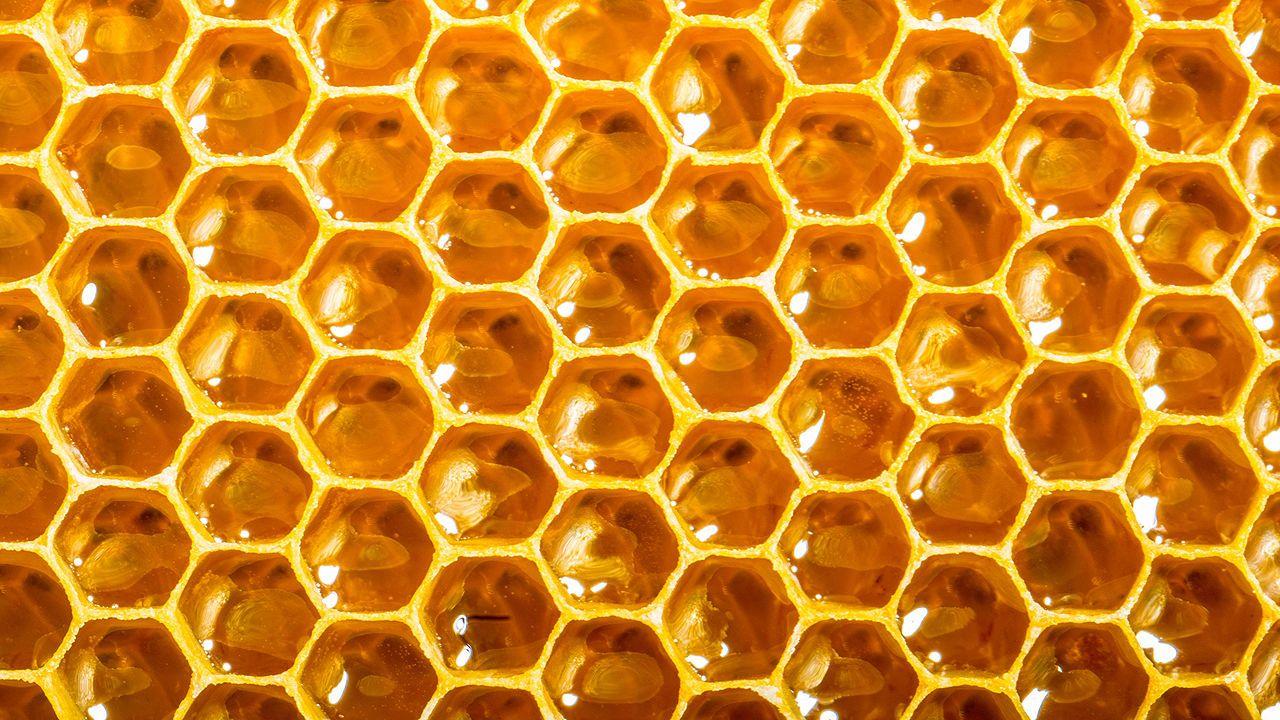 Beehive Wallpapers - Top Free Beehive Backgrounds - WallpaperAccess