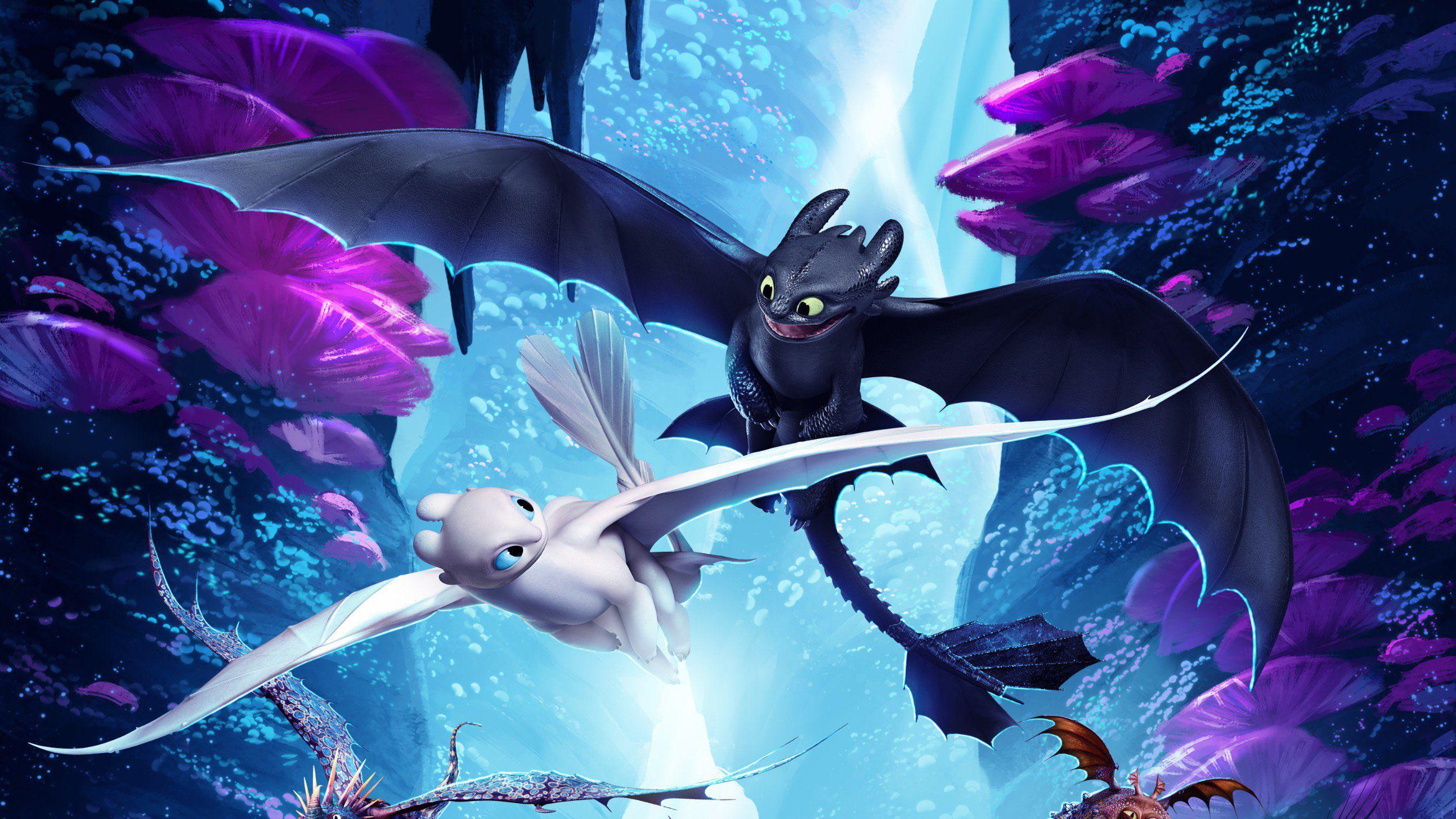 2587x1455 How To Train Your Dragon The Hidden World Night Fury And Light Fury, HD Movies, 4k Wallpaper, Image, Background, Photo and Picture