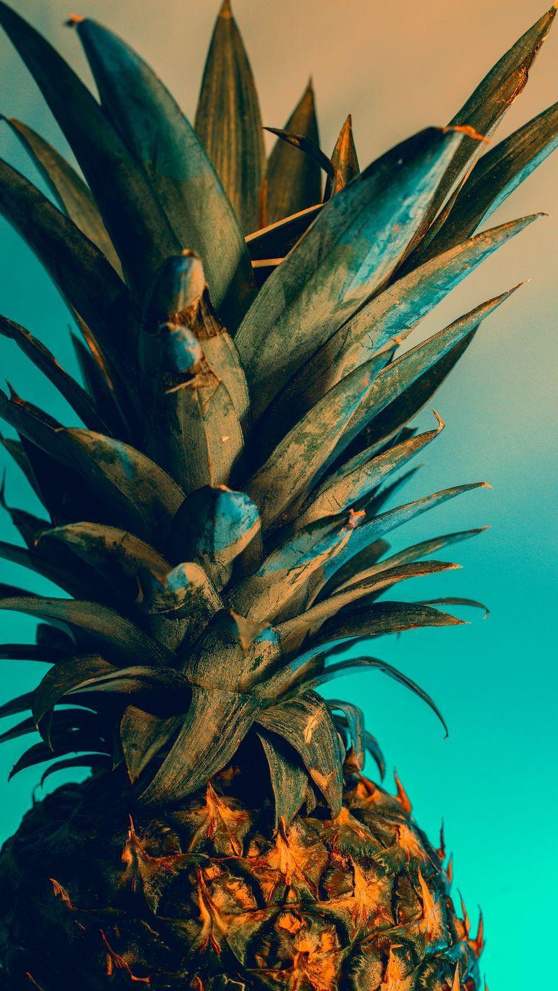 800x1420 Download wallpaper 800x1420 pineapple, fruit, exotic, tropical