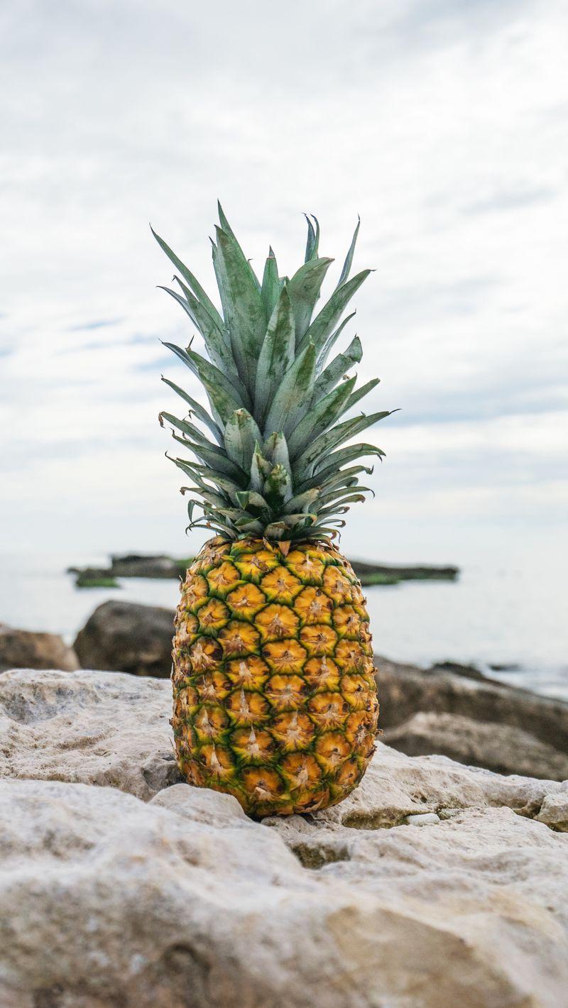 800x1420 Download Wallpaper 800x1420 Pineapple, Beach, Stones Iphone Se 5s