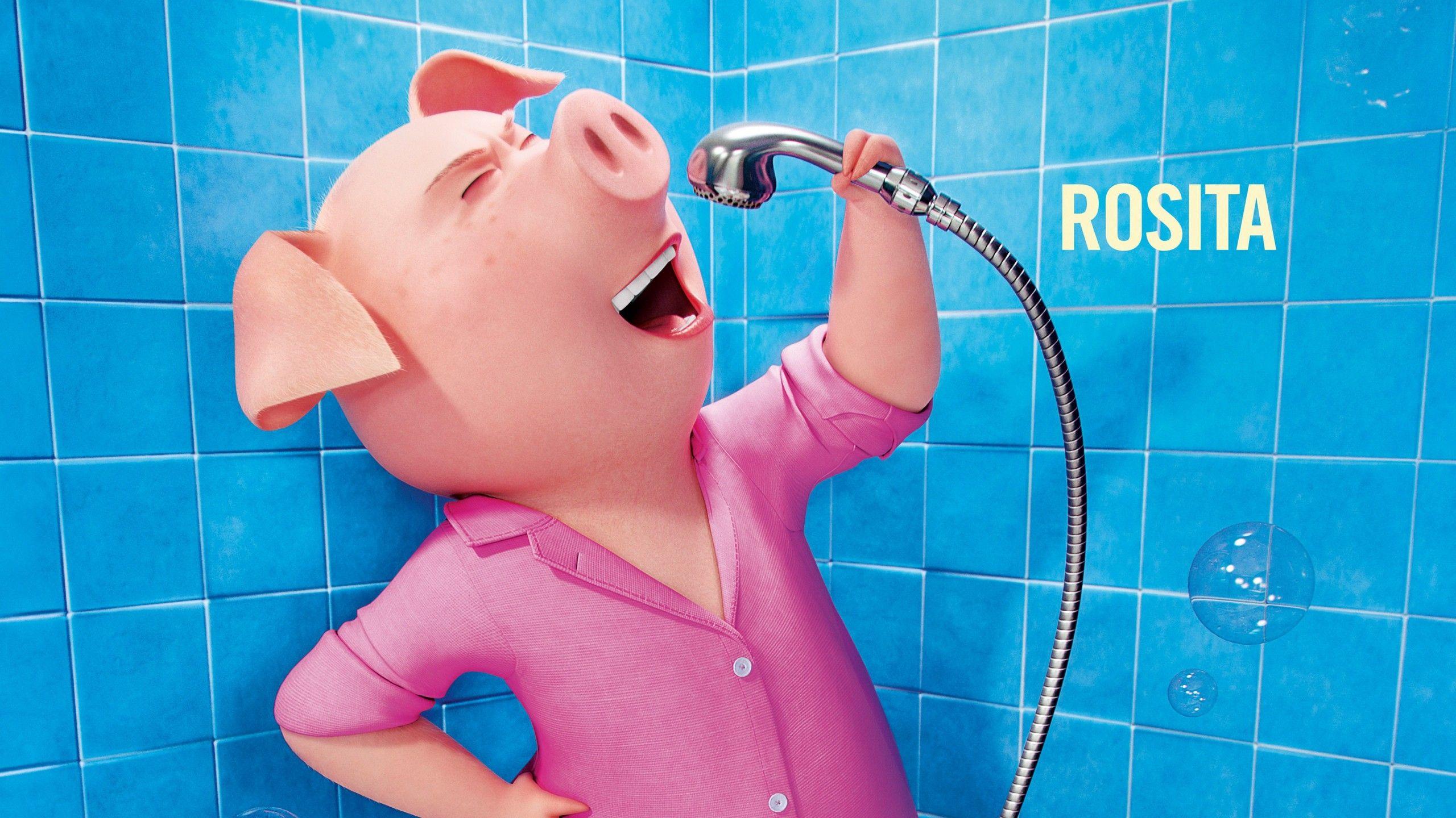 2560x1440 Wallpaper Sing, pig, rosita, best animation movies of Movies