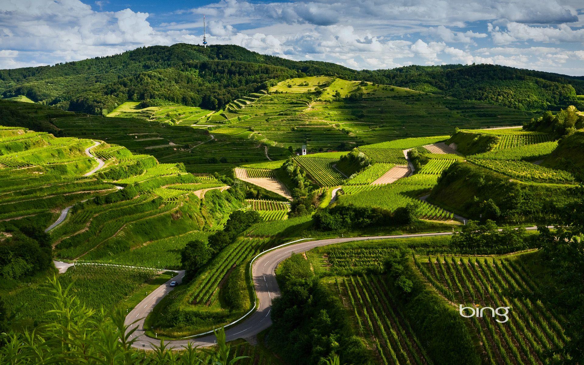 1920x1200 Bing Wallpaper Download Free