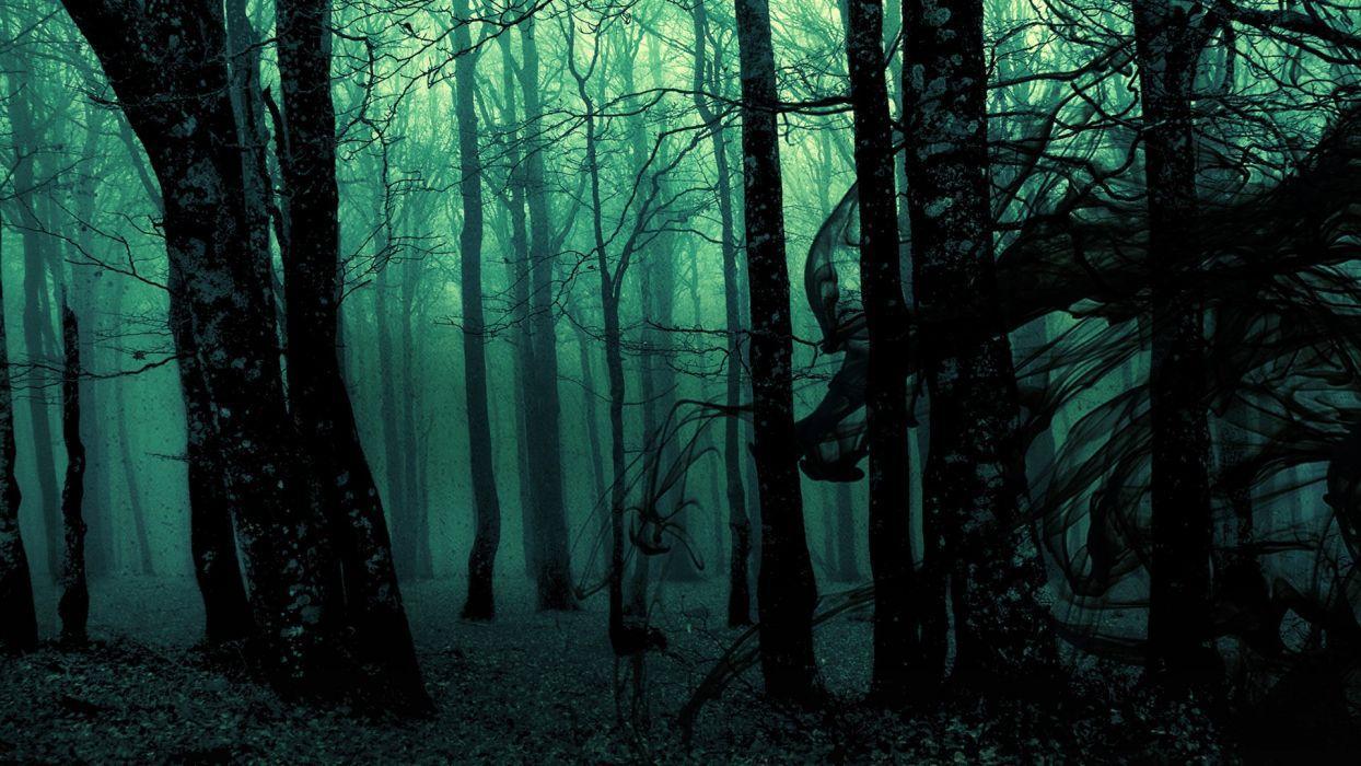 1244x700 Gothic Horror Wallpaper