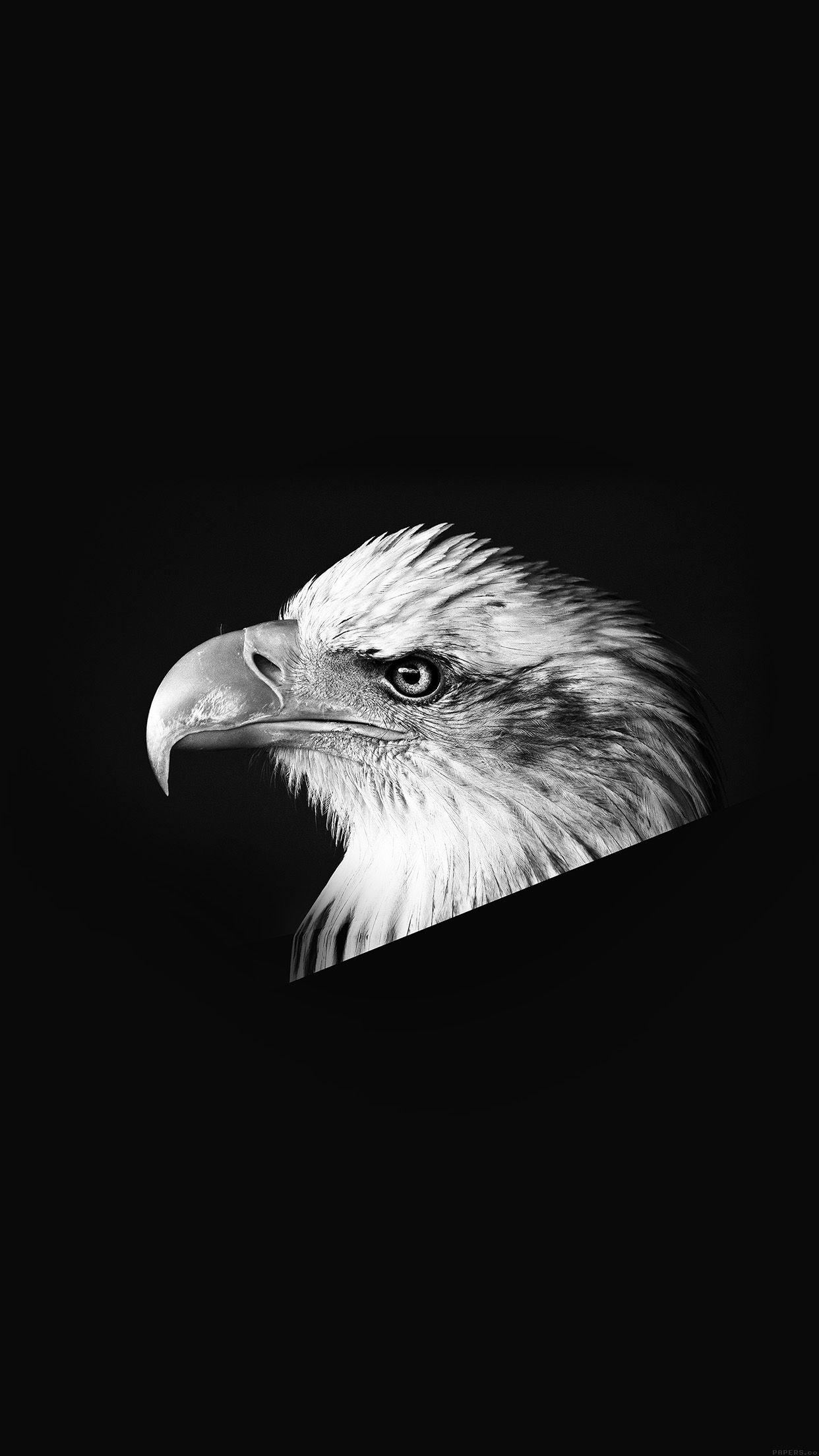 Dark Eagle Wallpapers - Top Free Dark Eagle Backgrounds - WallpaperAccess