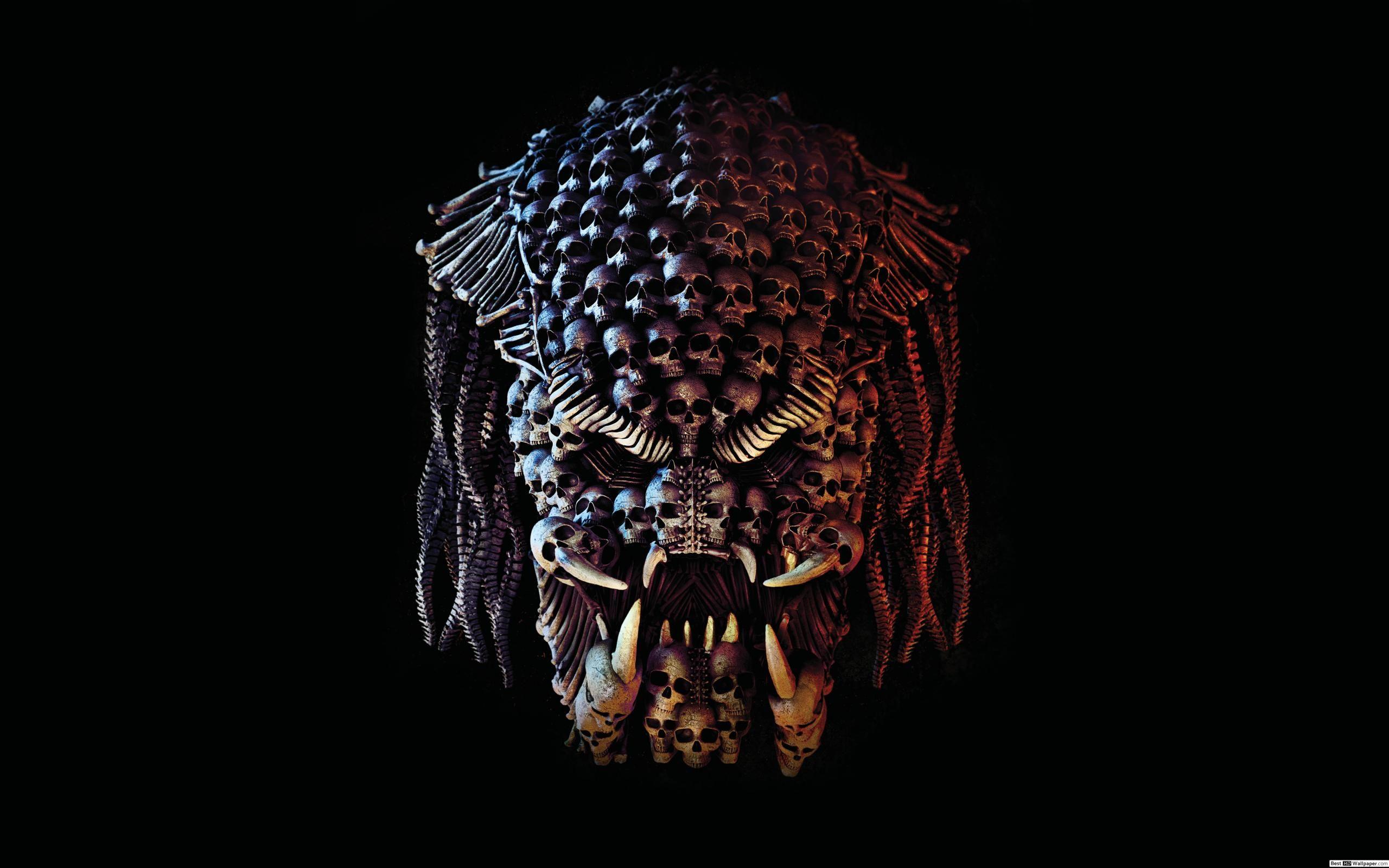 2560x1600 The predator HD wallpaper download