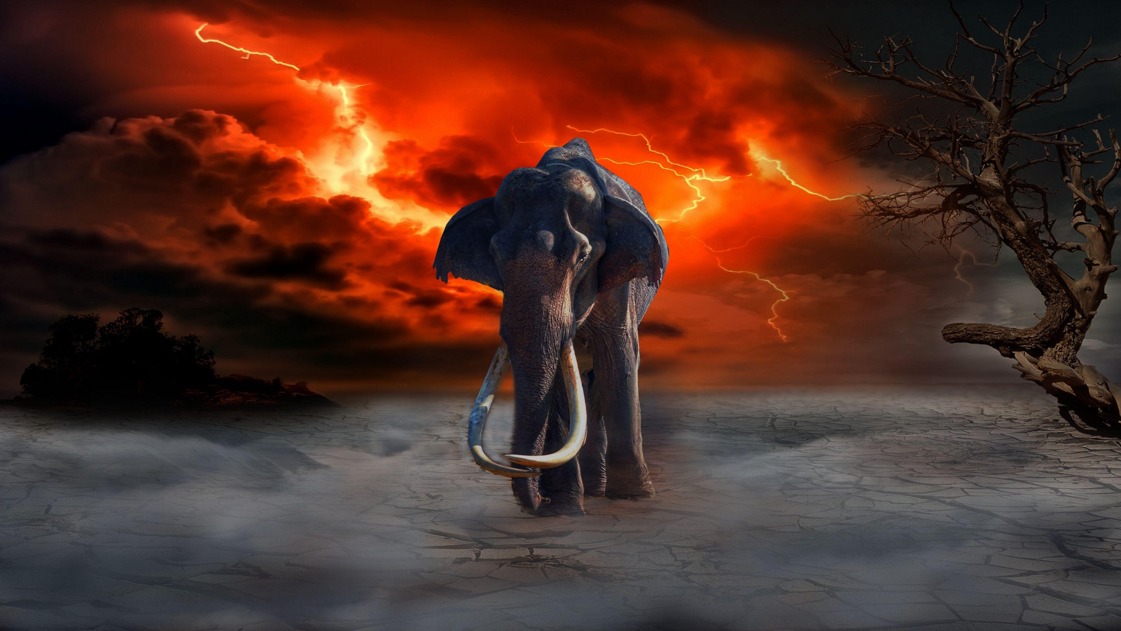 3840x2160 Wallpaper 4k elephant, lightning, photohop, fantasy 4k elephant