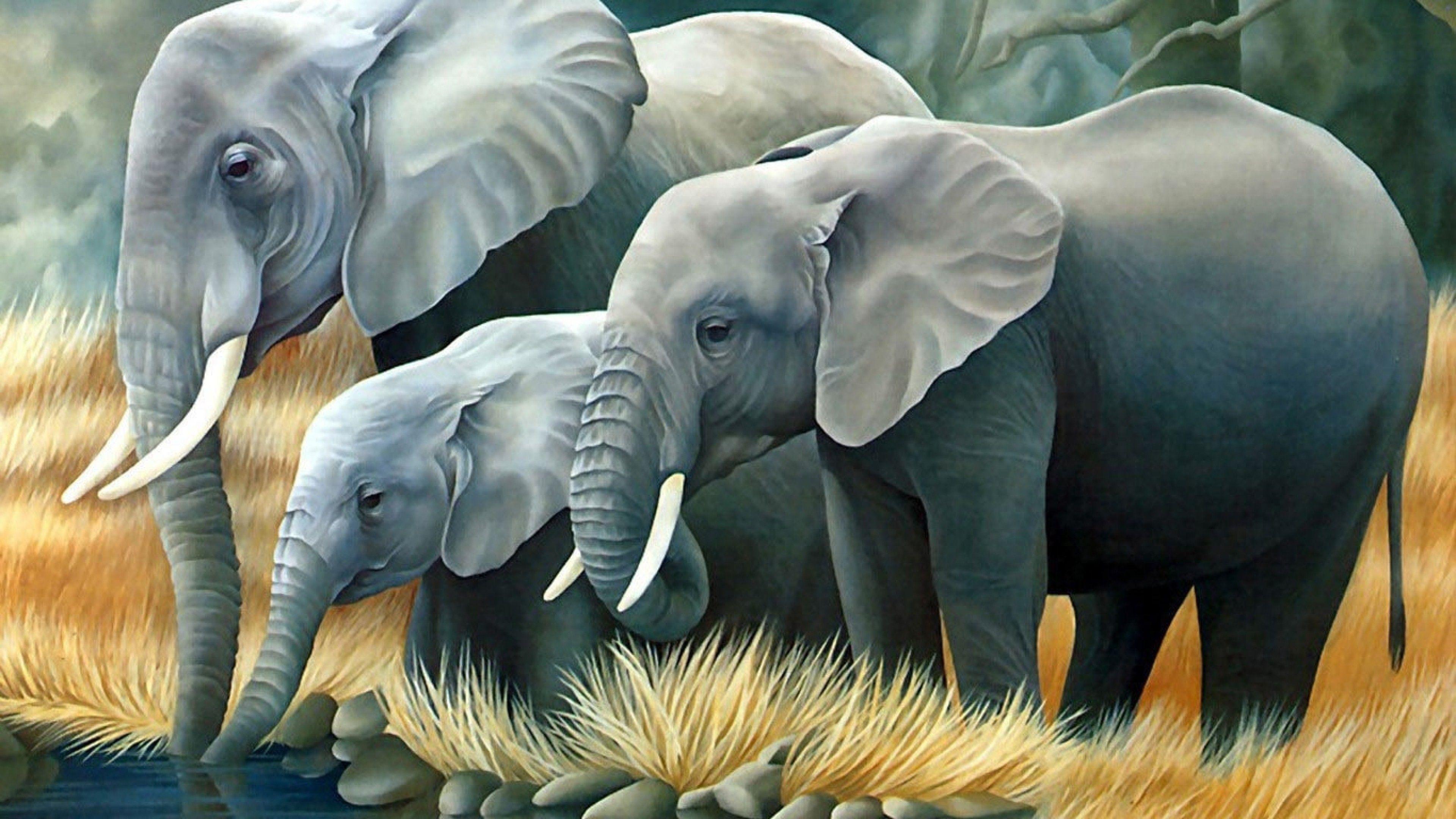 3840x2160 4k Wallpaper Of 3D Elephant 3D Wallpaper HD
