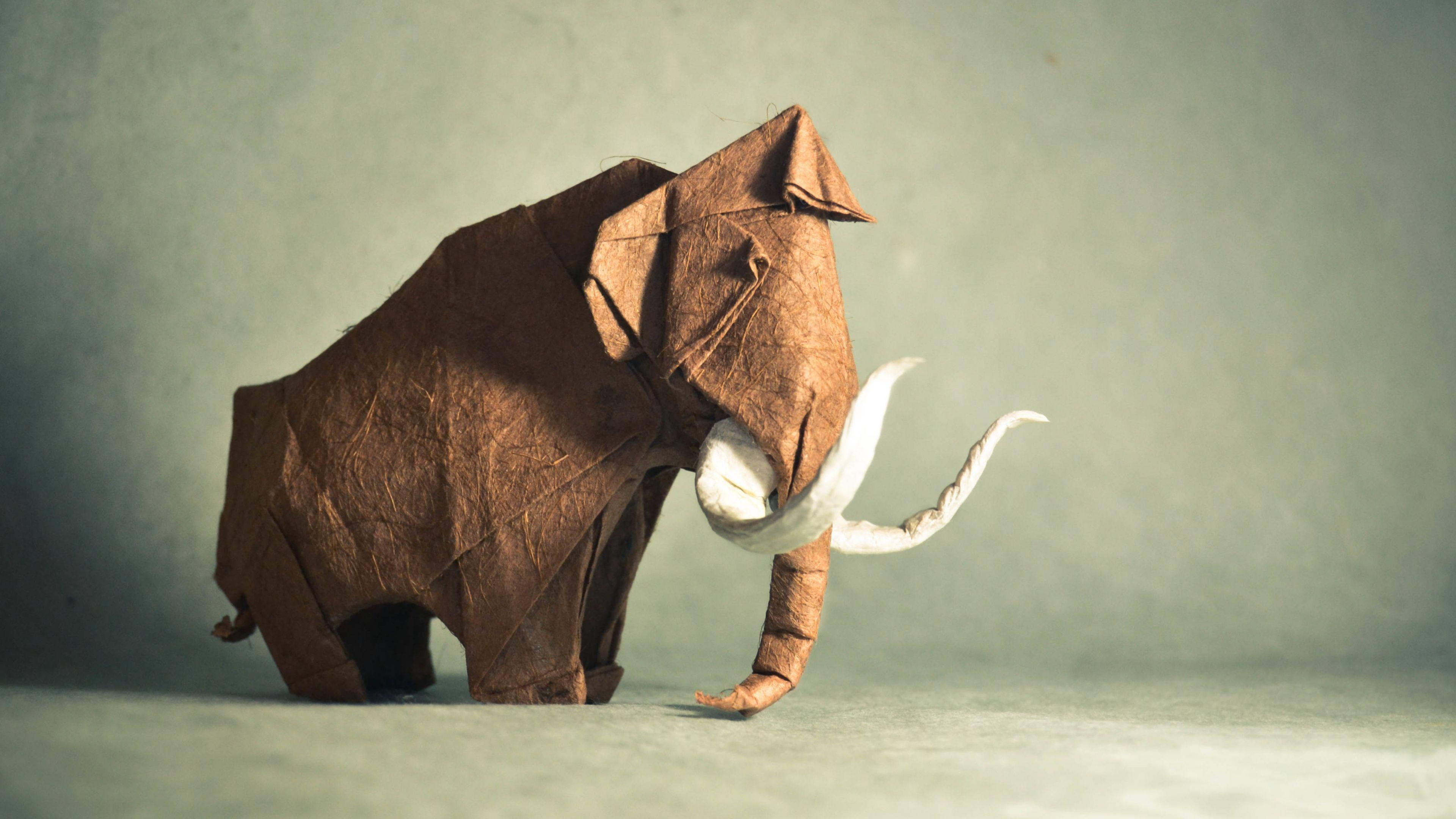 3840x2160 Elephant Man Art, HD Creative, 4k Wallpaper, Image, Background