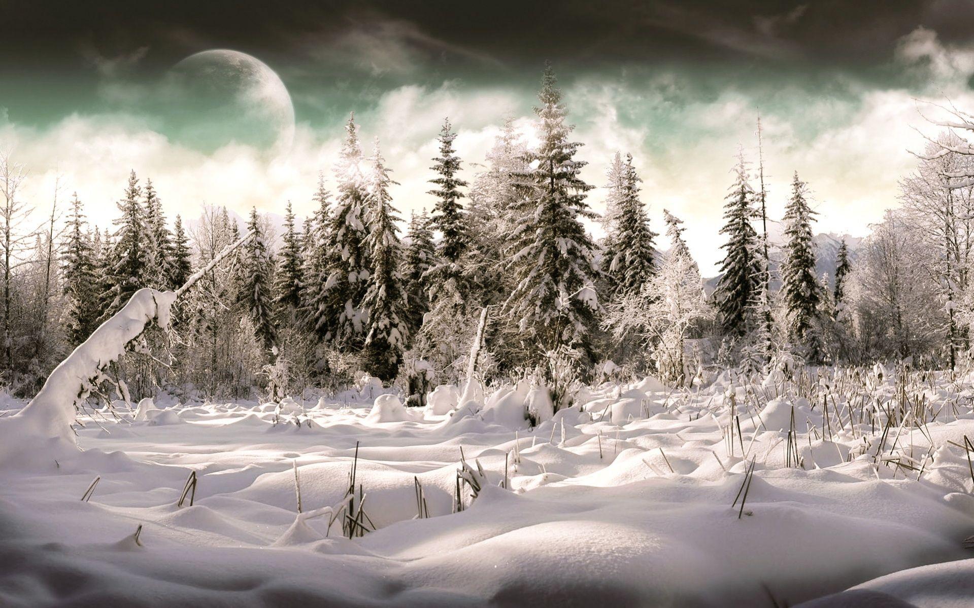 1919x1199 Holiday Landscape Desktop Wallpaper