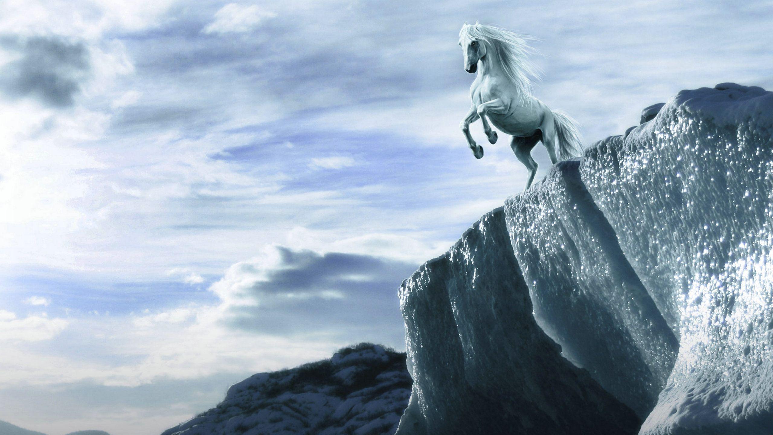 2560x1440 Hd Horses Wallpaper