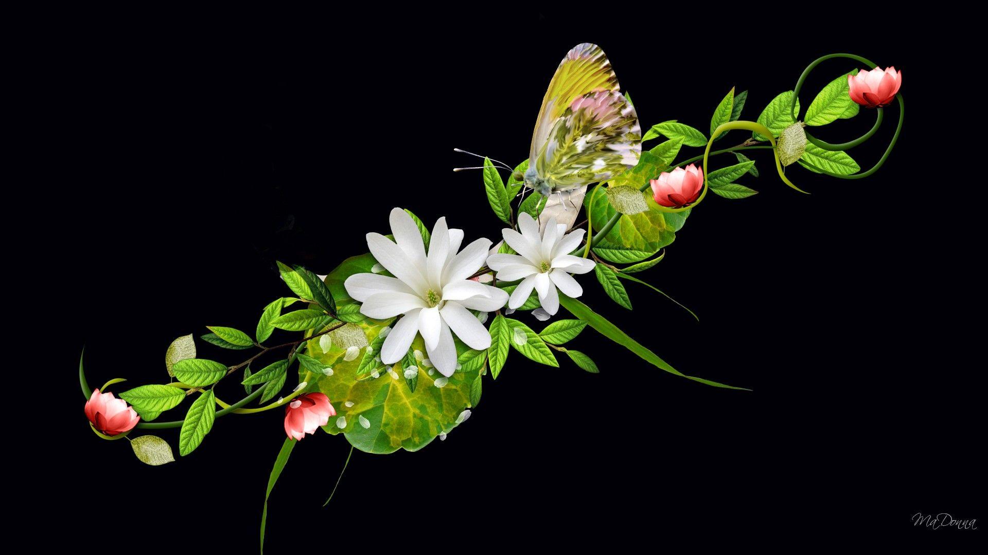 1920x1080 Abstract Flowers With Butterfly Black Wallpape Wallpaper