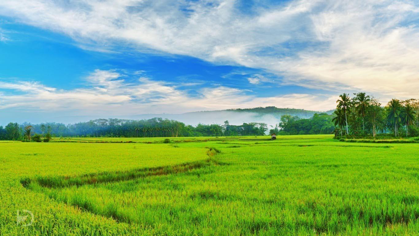 1366x768 Kerala Wallpaper
