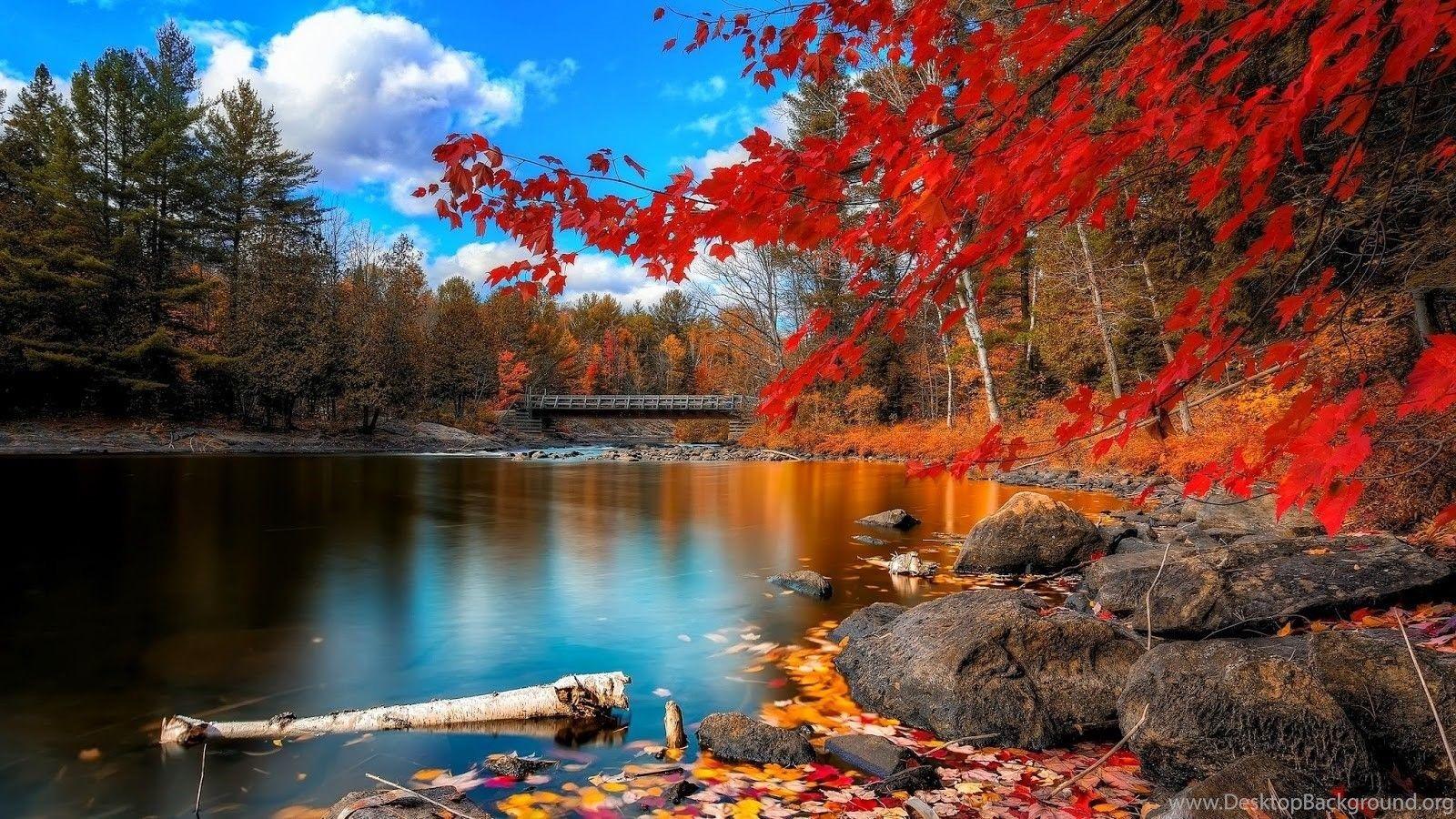1600x900 Desktop Wallpaper HD 3D Full Screen Nature Desktop Background