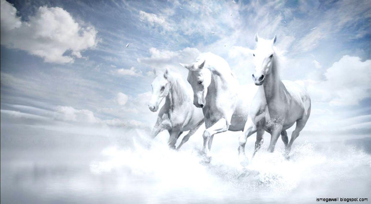 1284x706 White Horse HD Pc Wallpaper