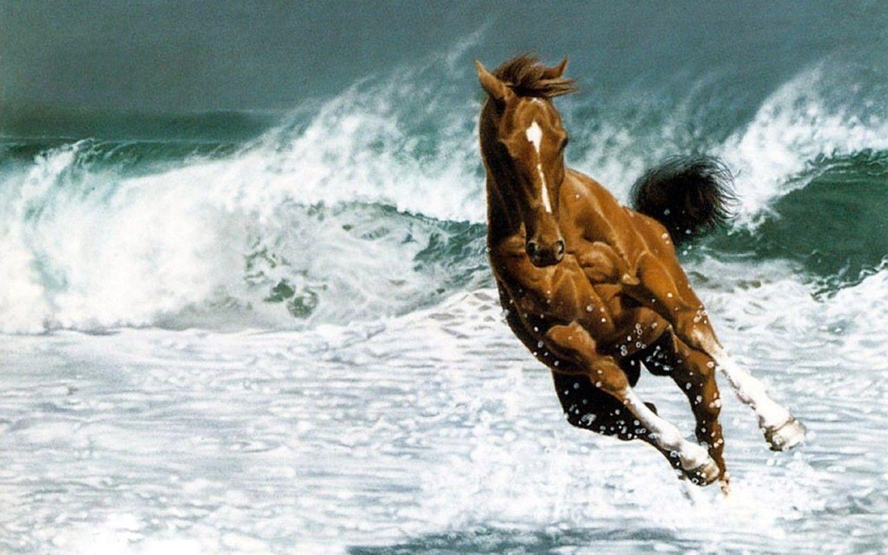 1280x800 Horse HD wallpaper horse desktop wallpaper cool wallpaper
