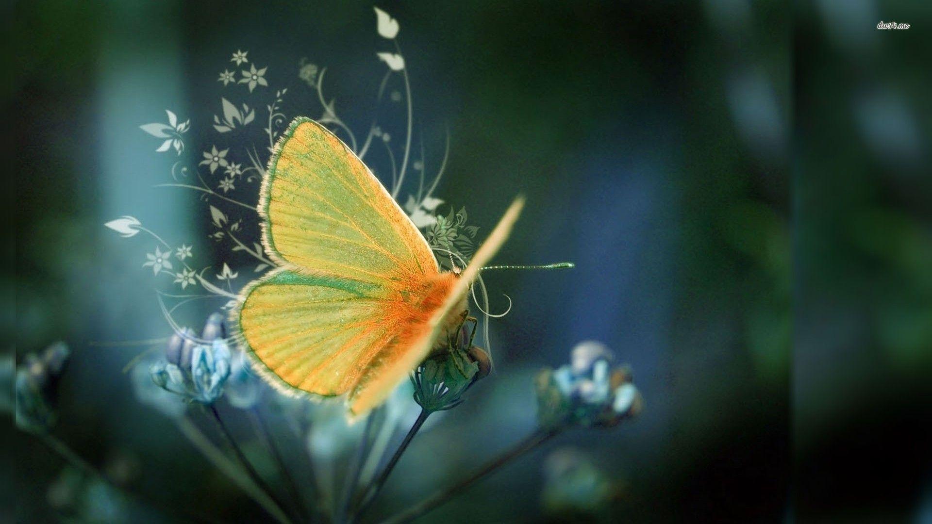 1920x1080 Abstract Wallpaper Purple Butterfly Abstract Wallpaper
