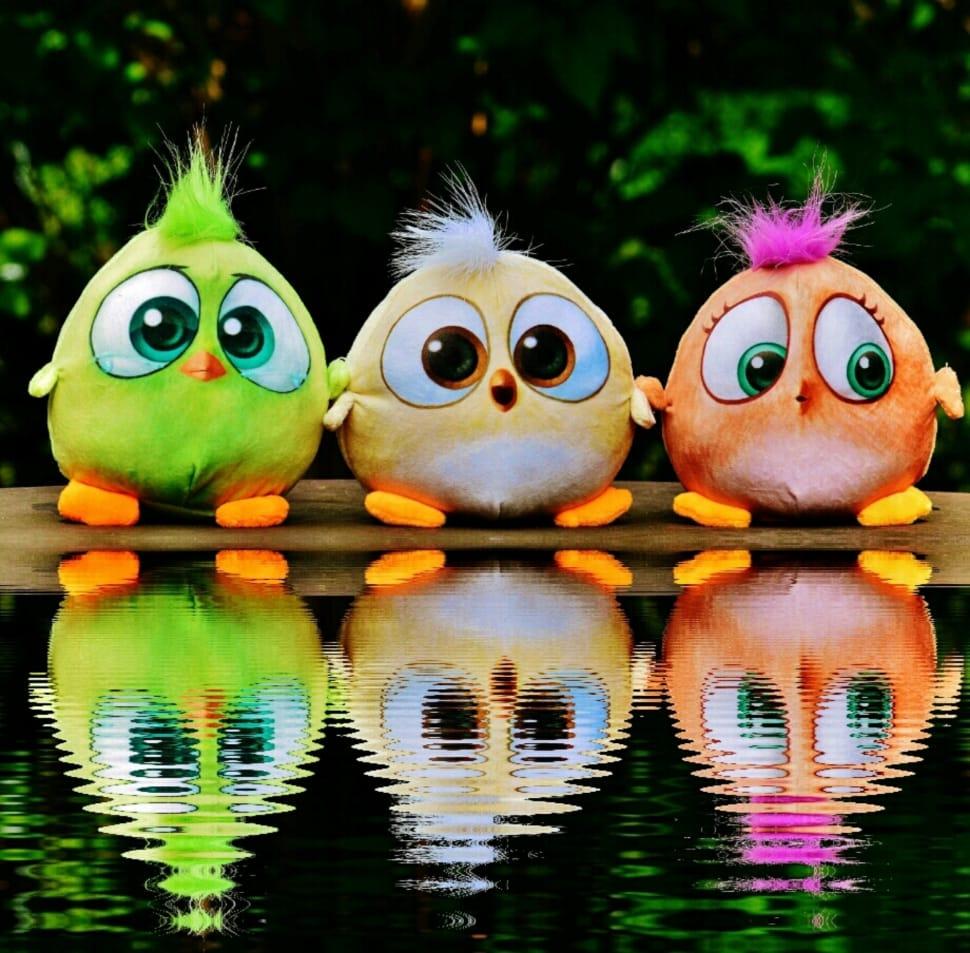 970x953 baby birds from angry birds movie free image