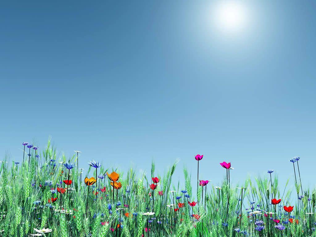 1024x768 Spring Background. Spring Wallpaper