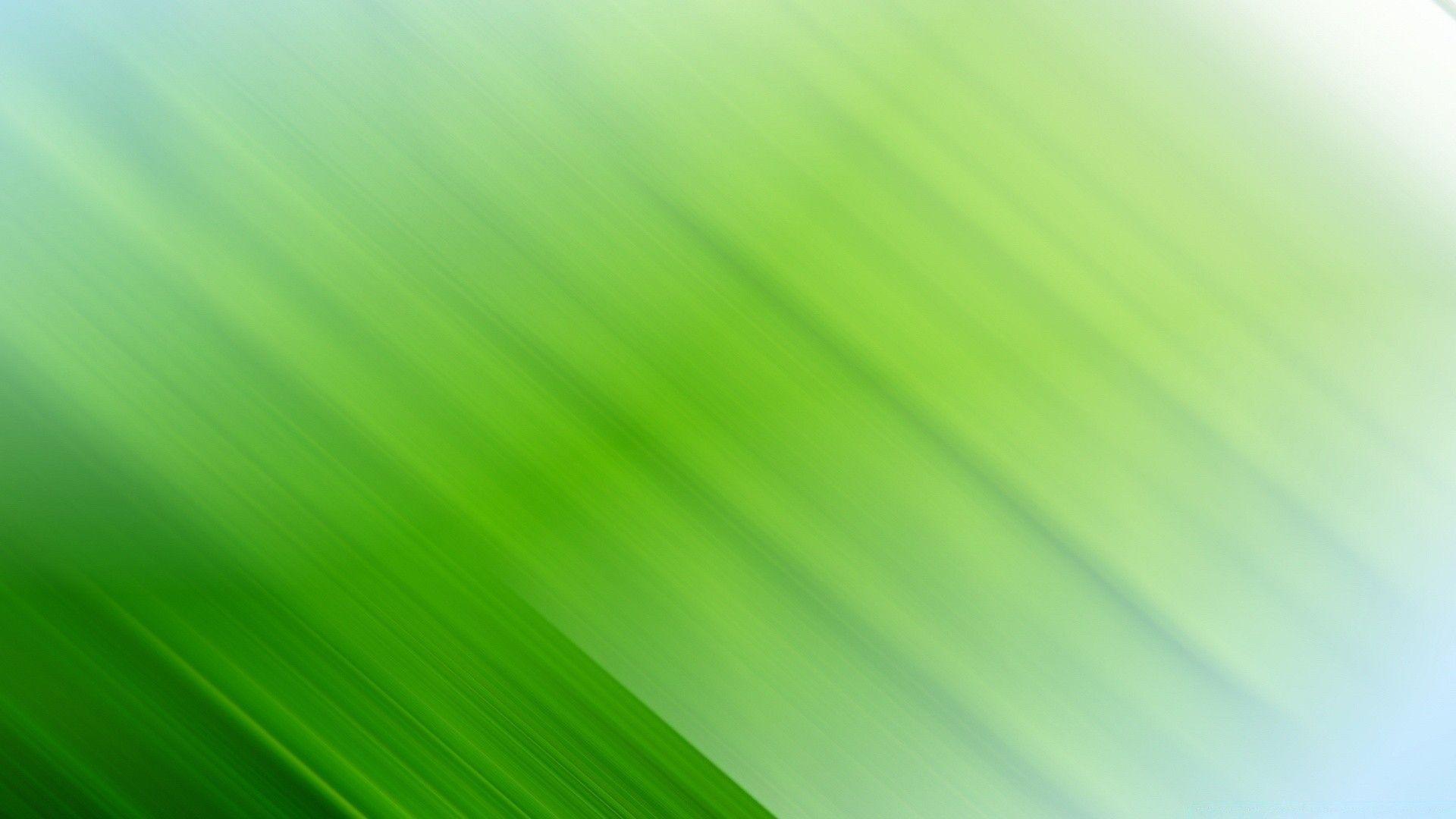 Light Green Desktop Wallpapers Top Free Light Green Desktop Backgrounds WallpaperAccess