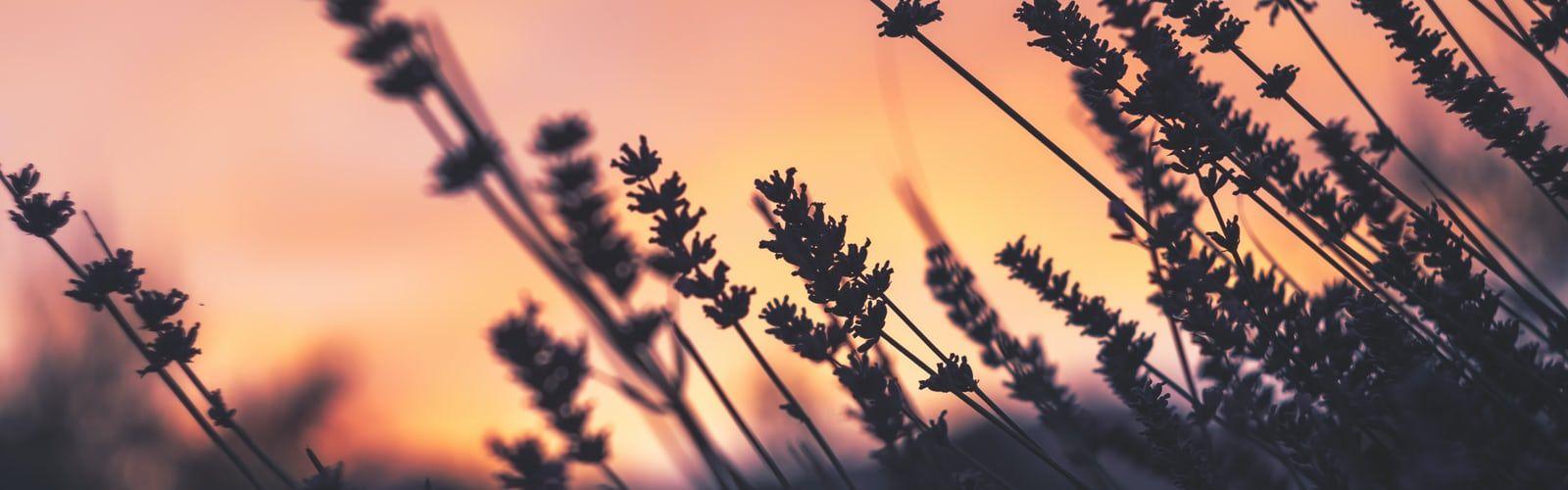 1600x500 Desktop Wallpaper V best free wallpaper, blue, texture
