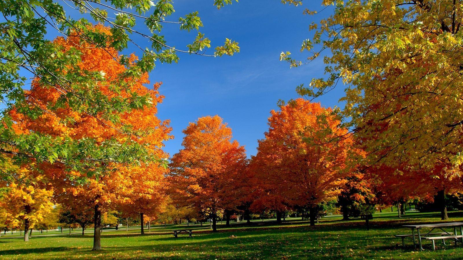 1600x900 Autumn Wallpaper